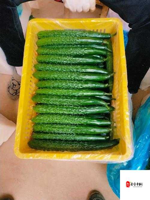 黄瓜的口感和爽脆度与品种和种植方式有关吗?大 H 黄瓜是如何种植的?