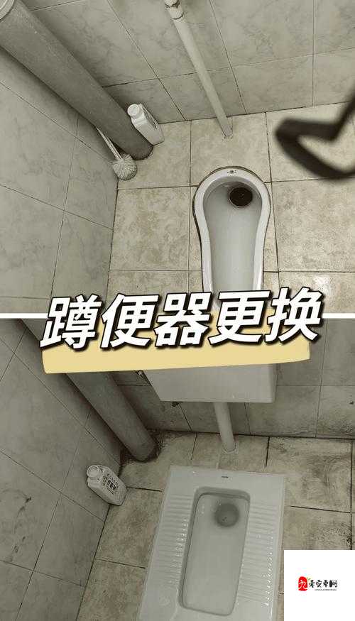 实拍老人蹲厕系列 3 究竟有何特别之处?探秘老人蹲厕背后的故事